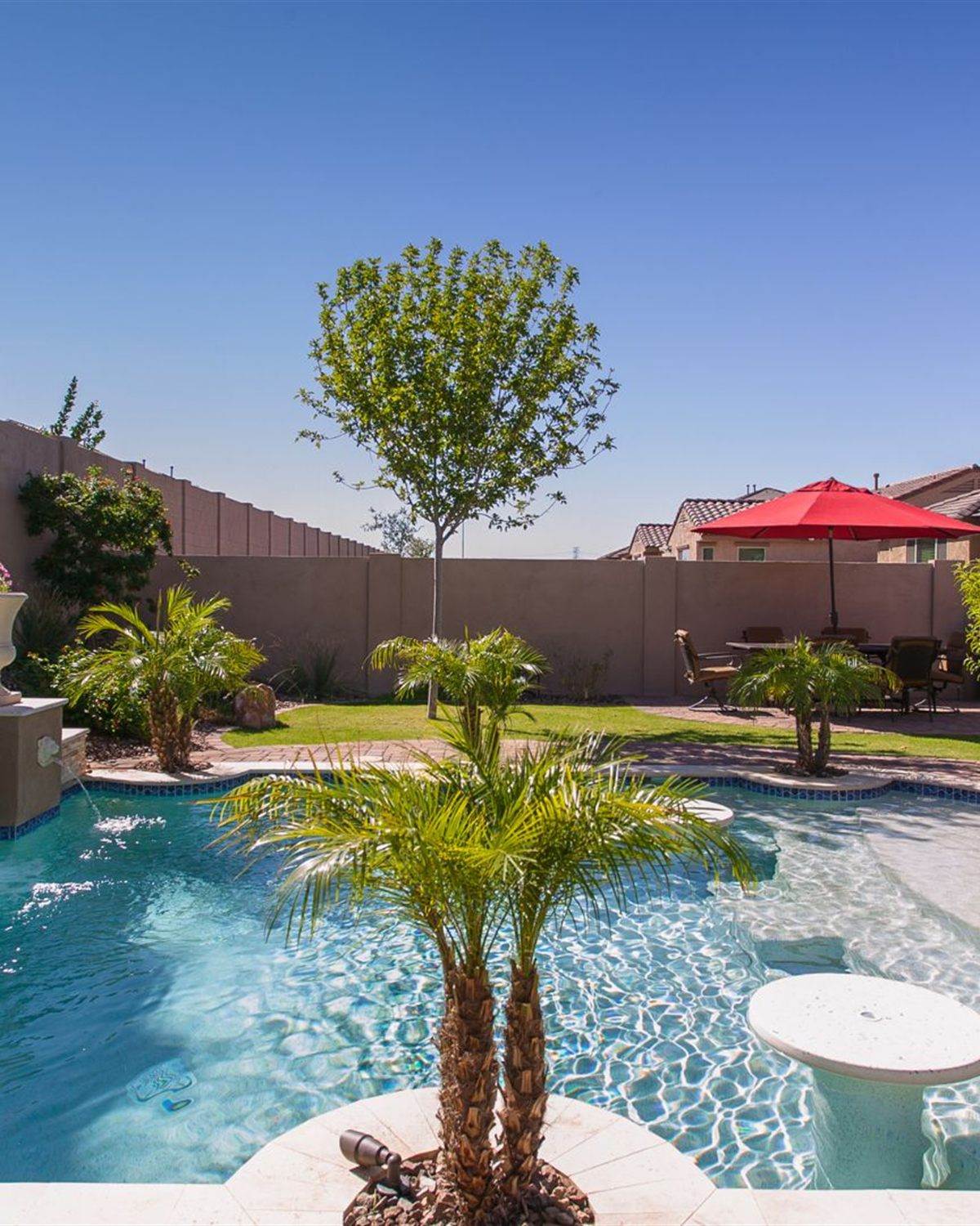 Buckeye, AZ backyard pool with palms, a tanning ledge and a block wall