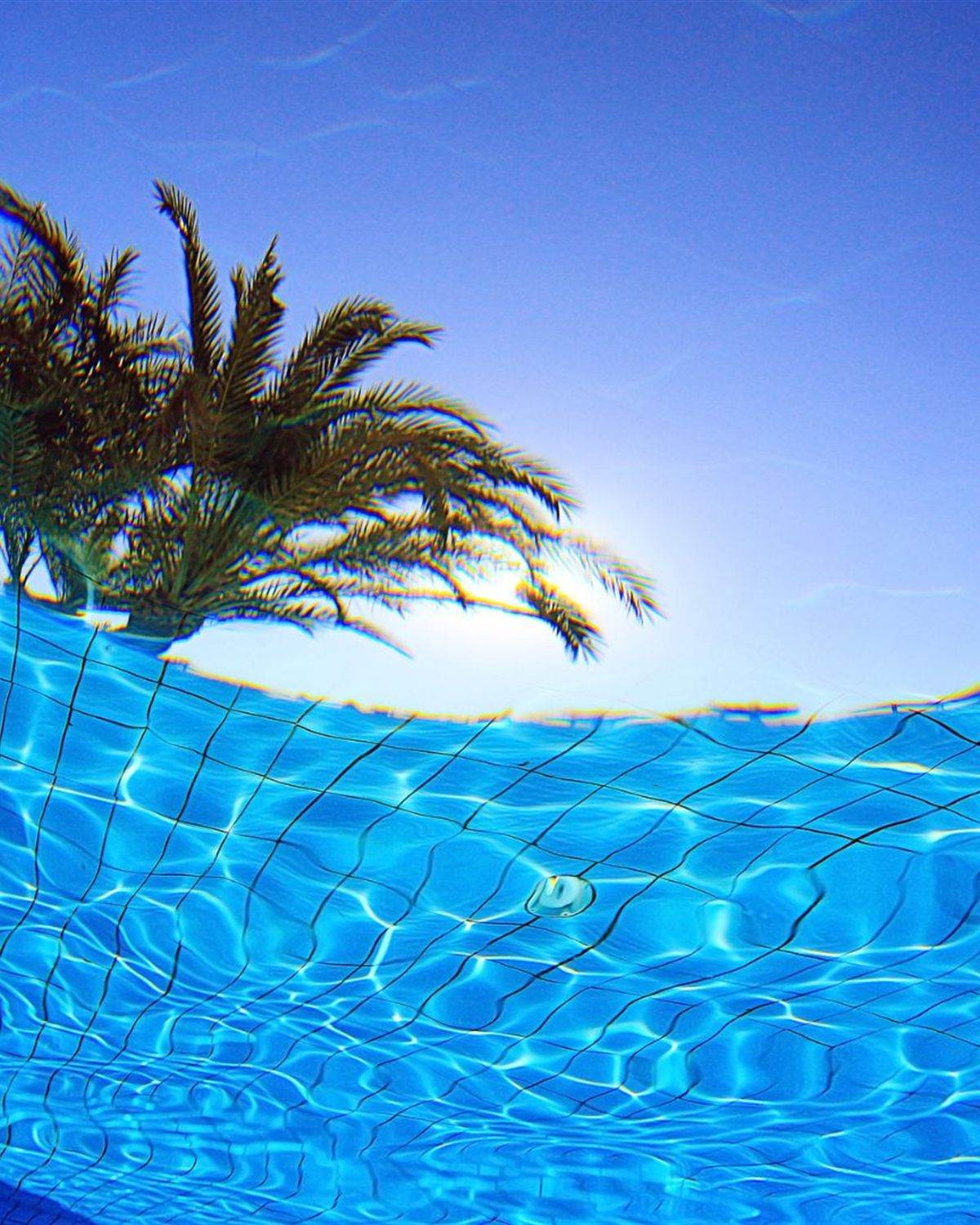 View up through clear pool water toward a palm tree and blue sky after cleanup