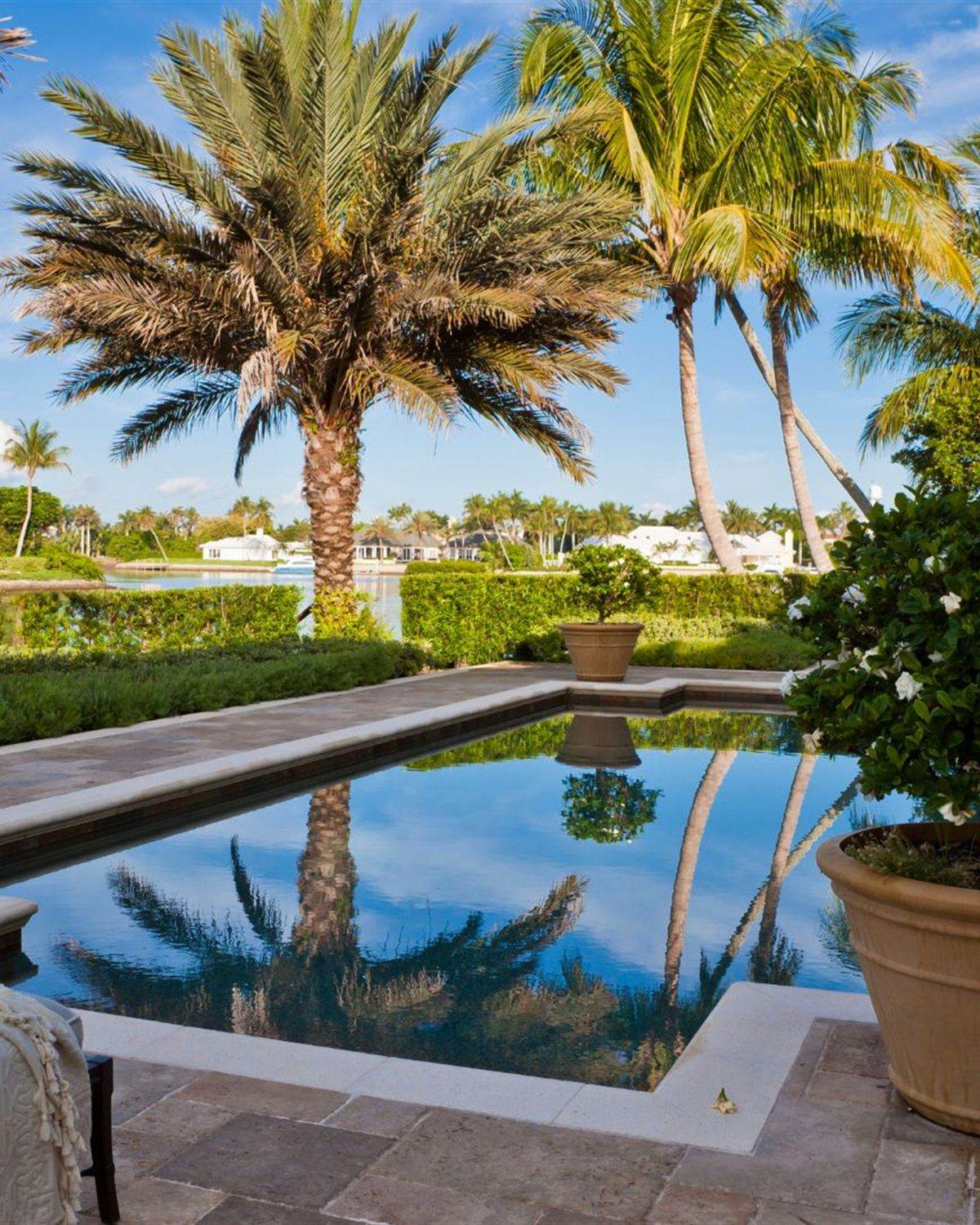 Wide community pool with reflecting water and mature palms